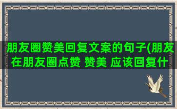 朋友圈赞美回复文案的句子(朋友在朋友圈点赞 赞美 应该回复什么)